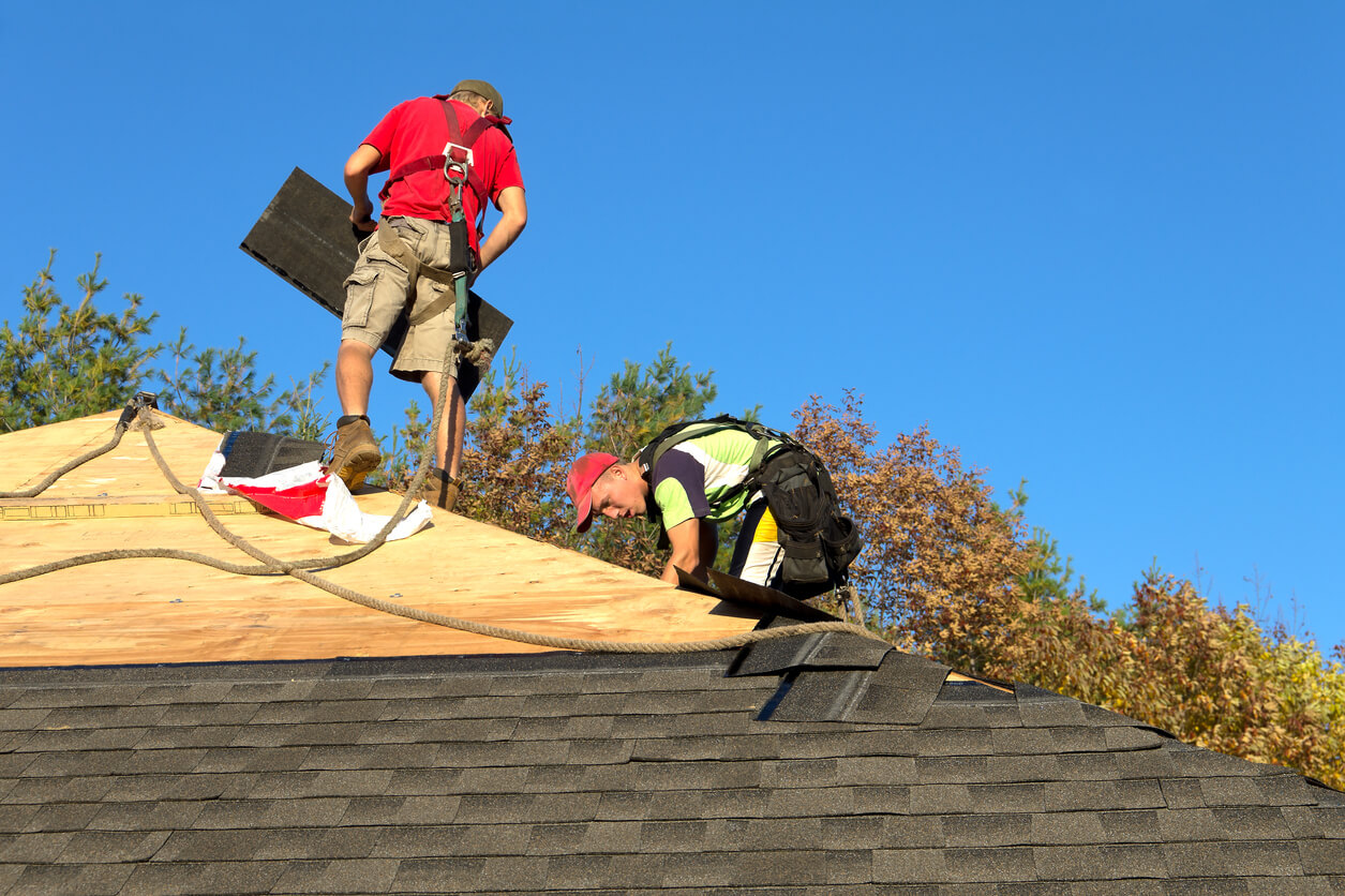 Professional Roofers