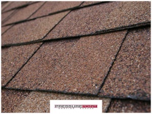 Top 3 Ways an Asphalt Shingle Commercial Roof Benefits You