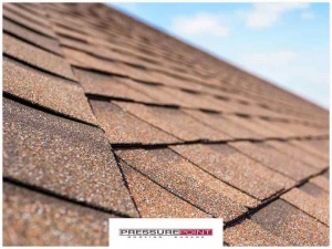 Facts About Asphalt Shingles