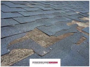 Damaging Debris: The 3 Worst Culprits for Your Roof