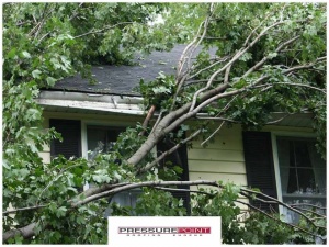 Most Common Ways That Trees Can Damage Your Roofing