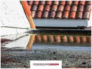4 Warning Signs of Commercial Roof Damage