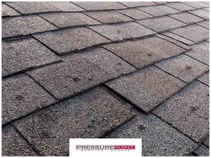 Why Do Asphalt Shingles Blister?