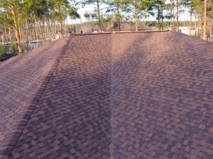 Why Asphalt Shingles Offer Great Value for Money